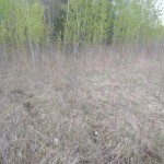 Vacant land available to rent