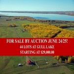 For Sale by Online Auction! 44 Lots at Gull Lake! June 24/25!