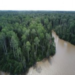 40 Acre Lot in Northern Ontario. Land on the Abitibi River!