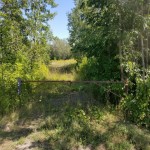 Commercial land for sale!