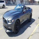 Mustang V6 Convertible