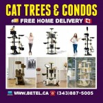 Best Cat Trees Condo Scratching Posts & Activity Centre Collection From $49