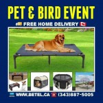 SALE | Dog Puppy Cat Bird Pet Essentials & Accessories Beds Crates Carriers Cages