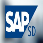 SAP SD Real-time Project Based Training-Batch/One on One Session