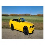 2008 Ford Mustang GT convertible sports car