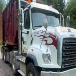 2019 ROLL OFF FREIGHTLINER SD 114