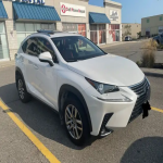 Lease takeover: 2021 Lexus NX300 AWD Premium package