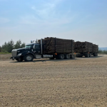 Off hiway log truck driver