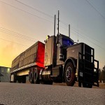 2022  PETERBILT 389