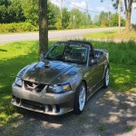2001  COBRA SALEEN  MUSTANG