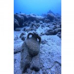 PERSONAL TAX IMPOT SERVICES