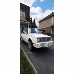 1981  PONTIAC  PHOENIX